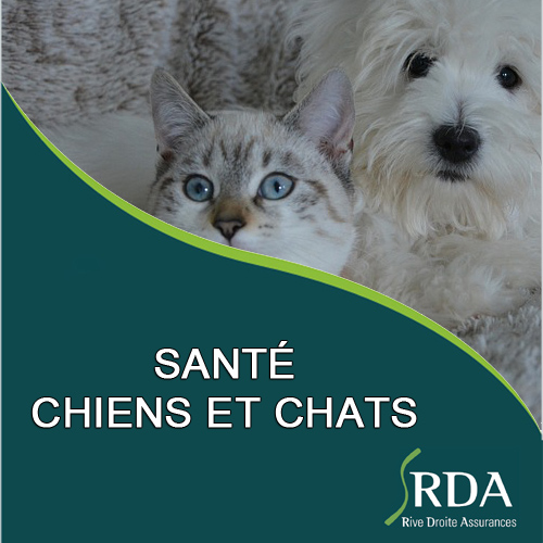 Santé chiens et chats